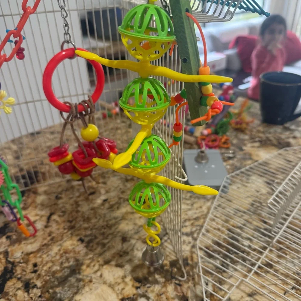Vibrant Hanging Bird Toy Set with Rope and Beads